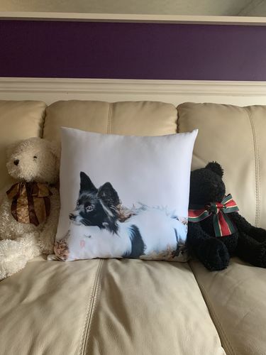 Customer photo review of Create A Custom Dog Pillow
