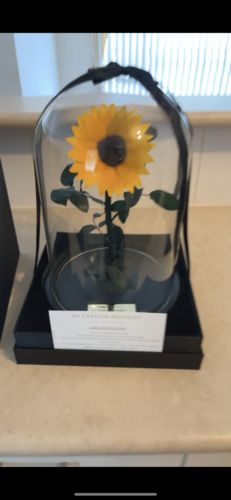 Customer photo review of A Lasting Sunflower