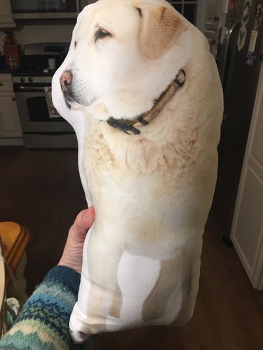 Customer photo review of Create A Custom Dog Pillow