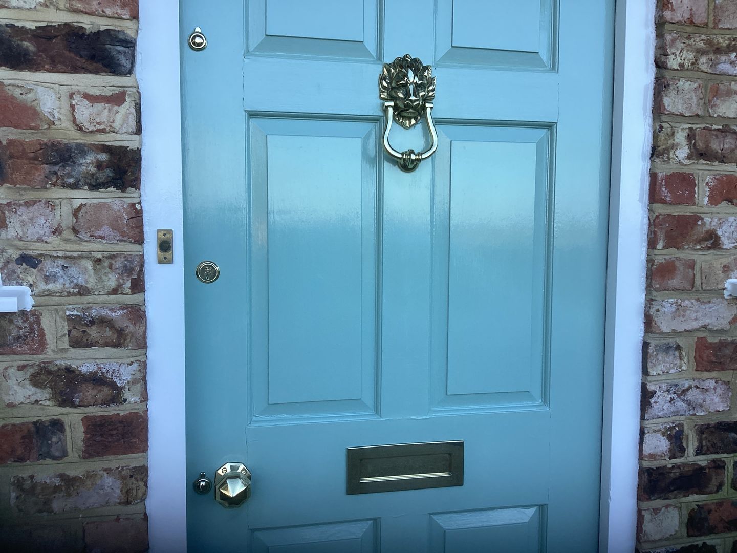 Customer photo review of Downing St. Lion's Head Door Knocker | Solid Brass