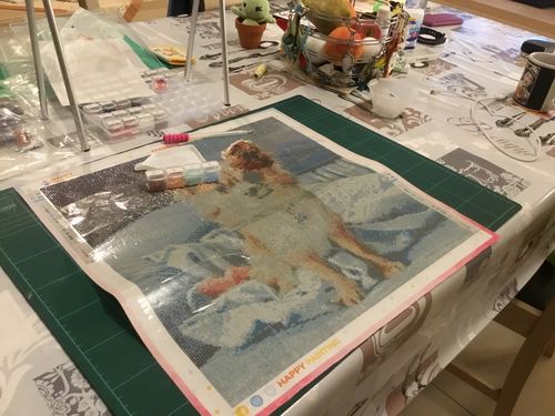 Customer photo review of Eigen Foto Diamond Painting