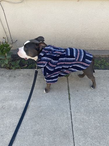 Customer photo review of Playa Poncho