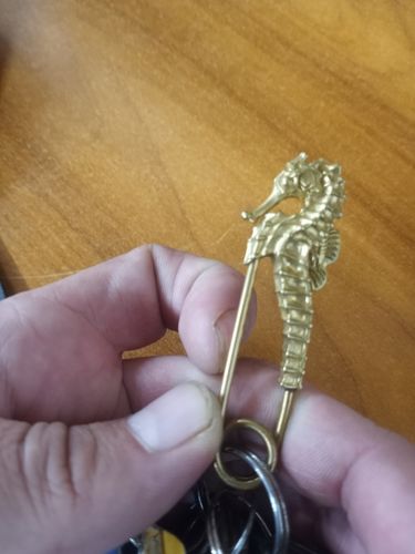 Customer photo review of Brass Seahorse Pin Keychain