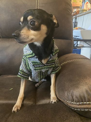 Customer photo review of Playa Poncho