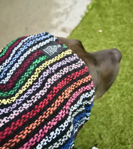 Customer photo review of Playa Poncho