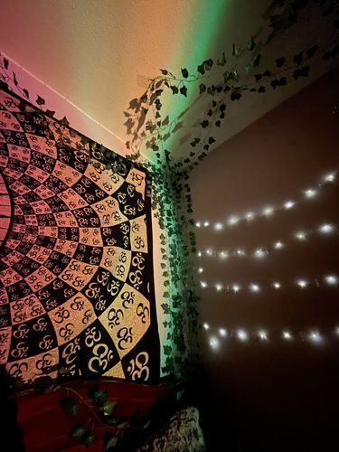 Customer photo review of The Sunset Lamp™