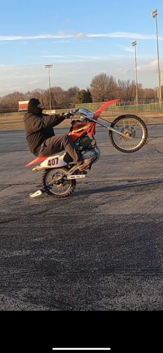 Customer photo review of ABS Wheelie Bar