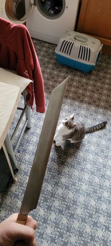 Customer photo review of Rail Spike Seax