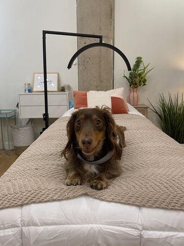 Customer photo review of CosmoGlo Original Light Bundle + Phone Clip