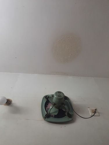 Customer photo review of HARD STAINS SPRAY + WIPE | Advanced P3 Formula