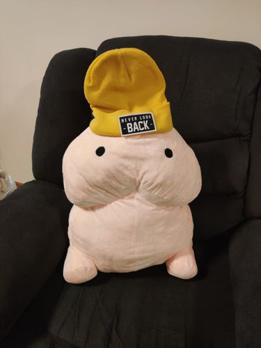 Customer photo review of PeePee Pillow