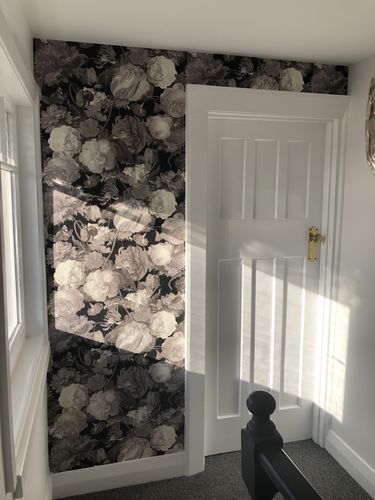 Customer photo review of Floral Masterpiece Wallpaper - 5 Colours