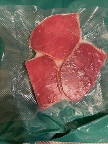 Customer photo review of Food Vacuum Sealer