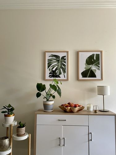 Customer photo review of Monstera X Two
