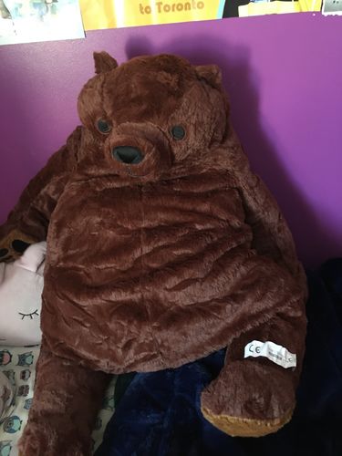 Customer photo review of SKOGGY BEAR
