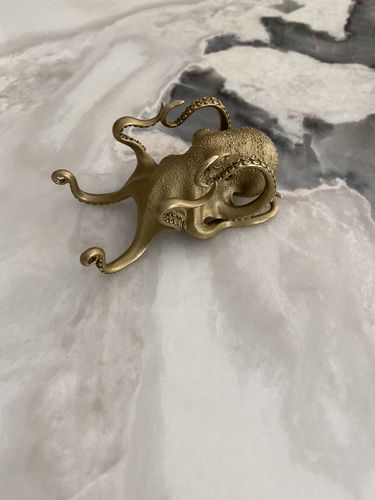 Customer photo review of Octopus Phone Holder | Bronze