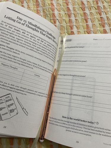 Customer photo review of MindBrush Journal