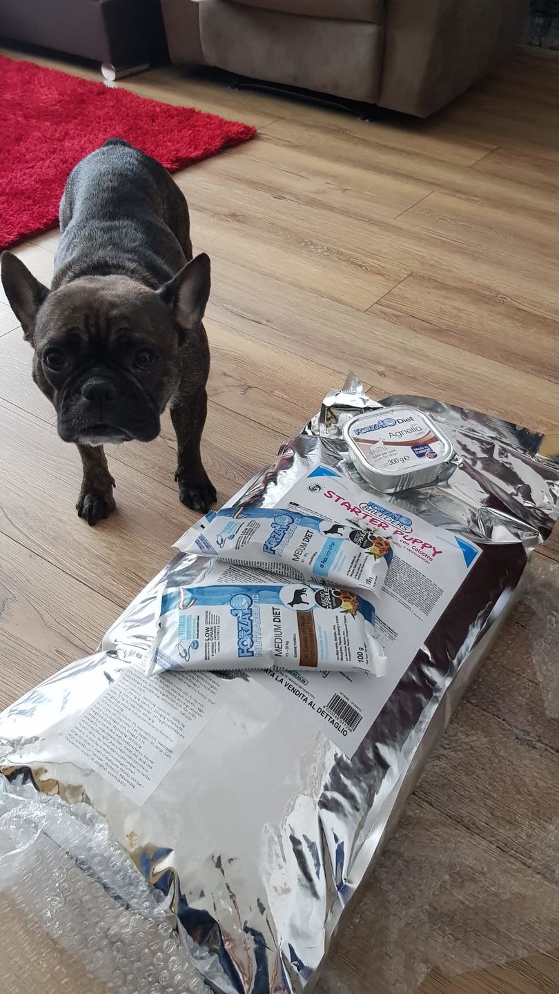 Customer photo review of Best Breeders Starter Puppy ar pirmpienu