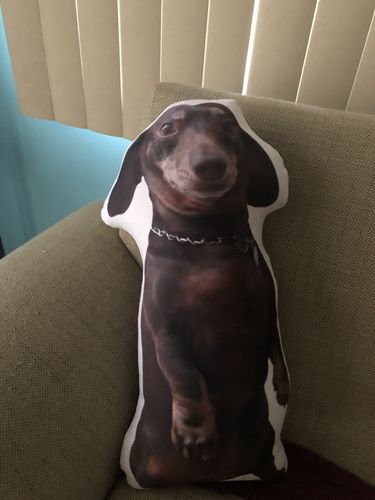 Customer photo review of Create A Custom Dog Pillow