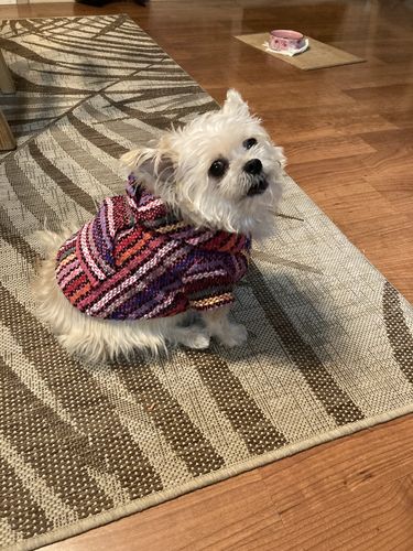 Customer photo review of Playa Poncho