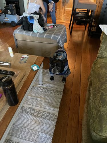 Customer photo review of Playa Poncho