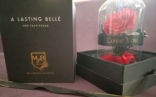 Customer photo review of RED Mini Rose Dome