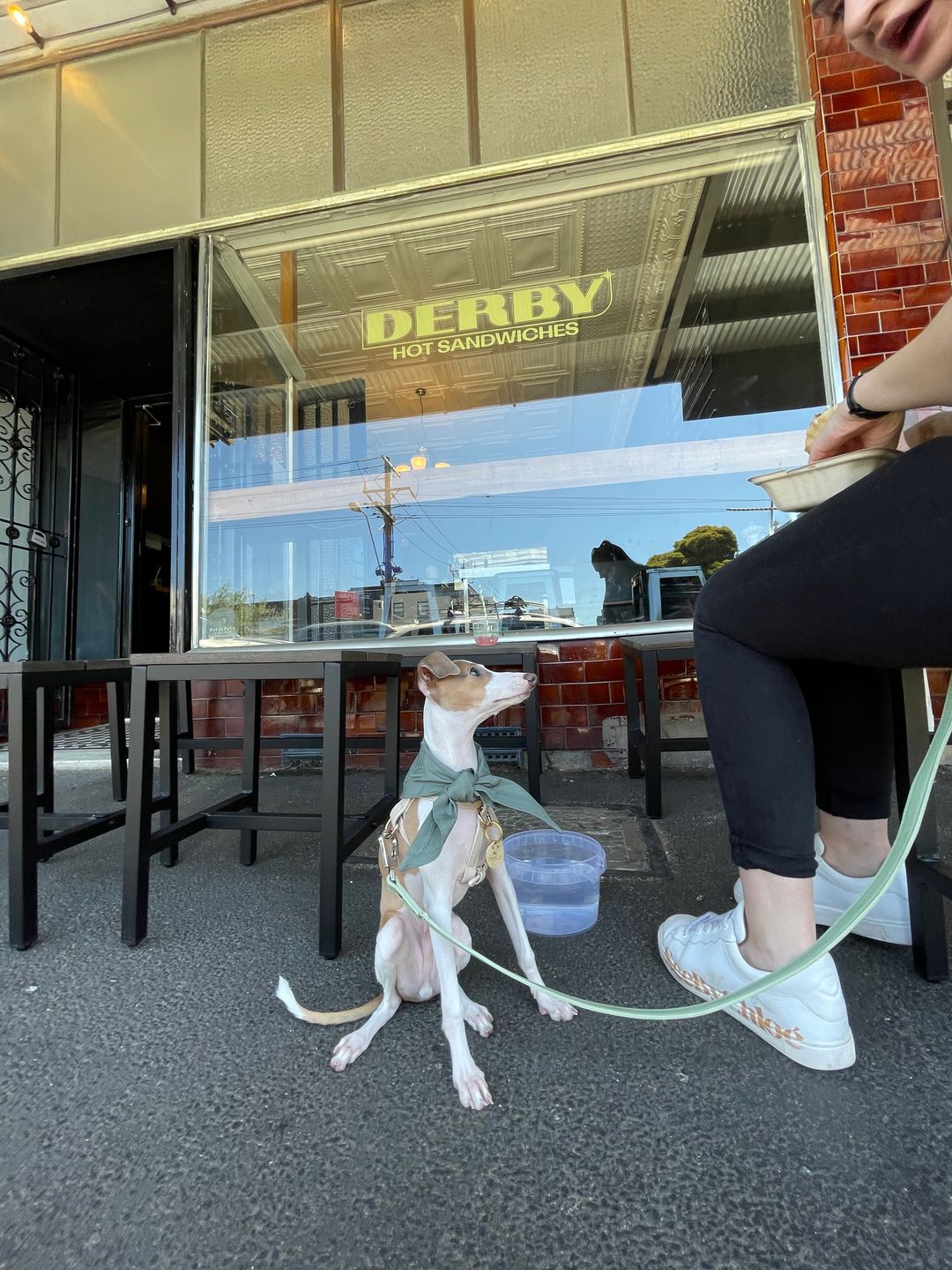 Customer photo review of HARNESS - Taupe