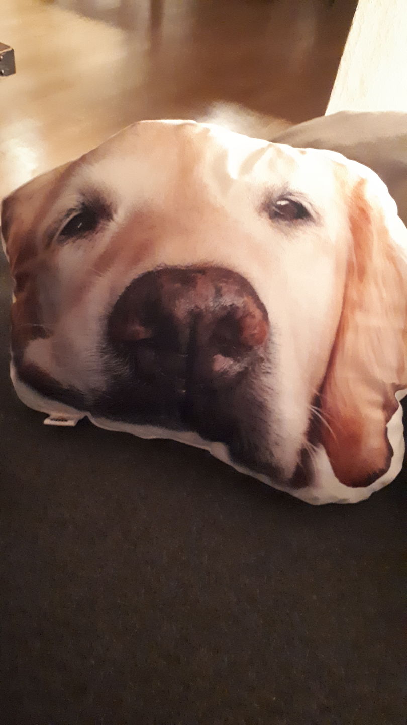 Customer photo review of Personalisiertes Tiergesichterkissen