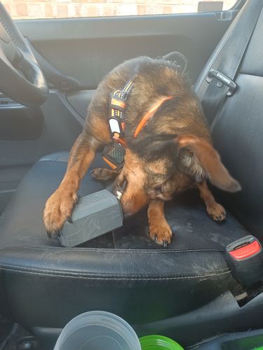 Customer photo review of The Fenrir Hammer