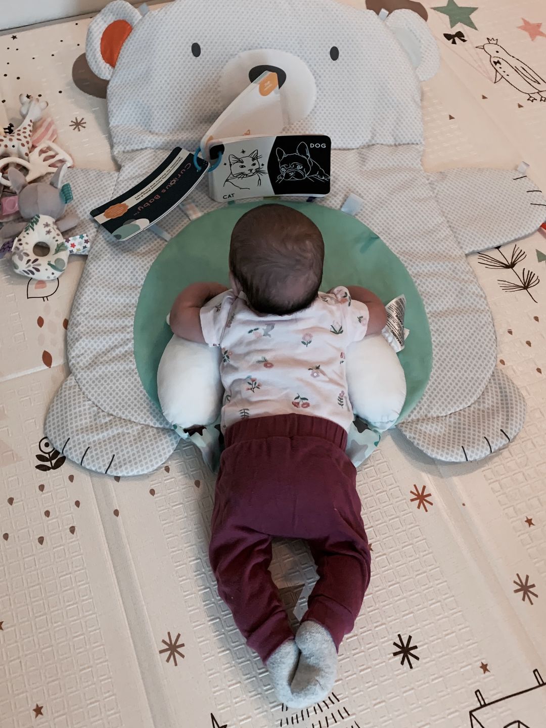 Customer photo review of Curious Baby™ Activity Cards