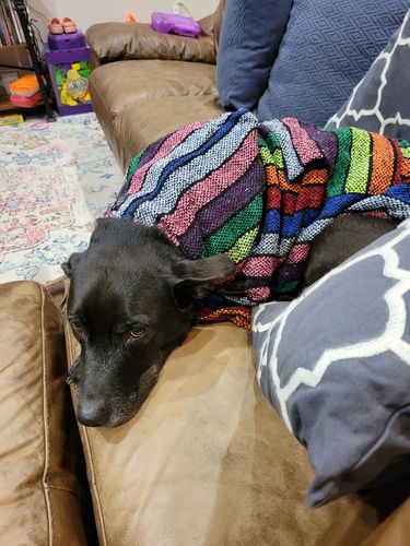 Customer photo review of Playa Poncho