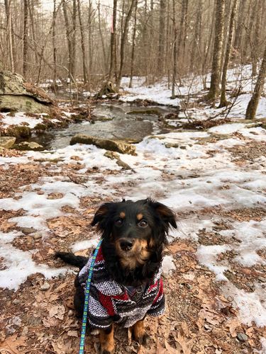 Customer photo review of Playa Poncho