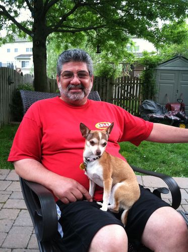 Customer photo review of CARIFEX®  Non-Flickering LED Headlight Sets