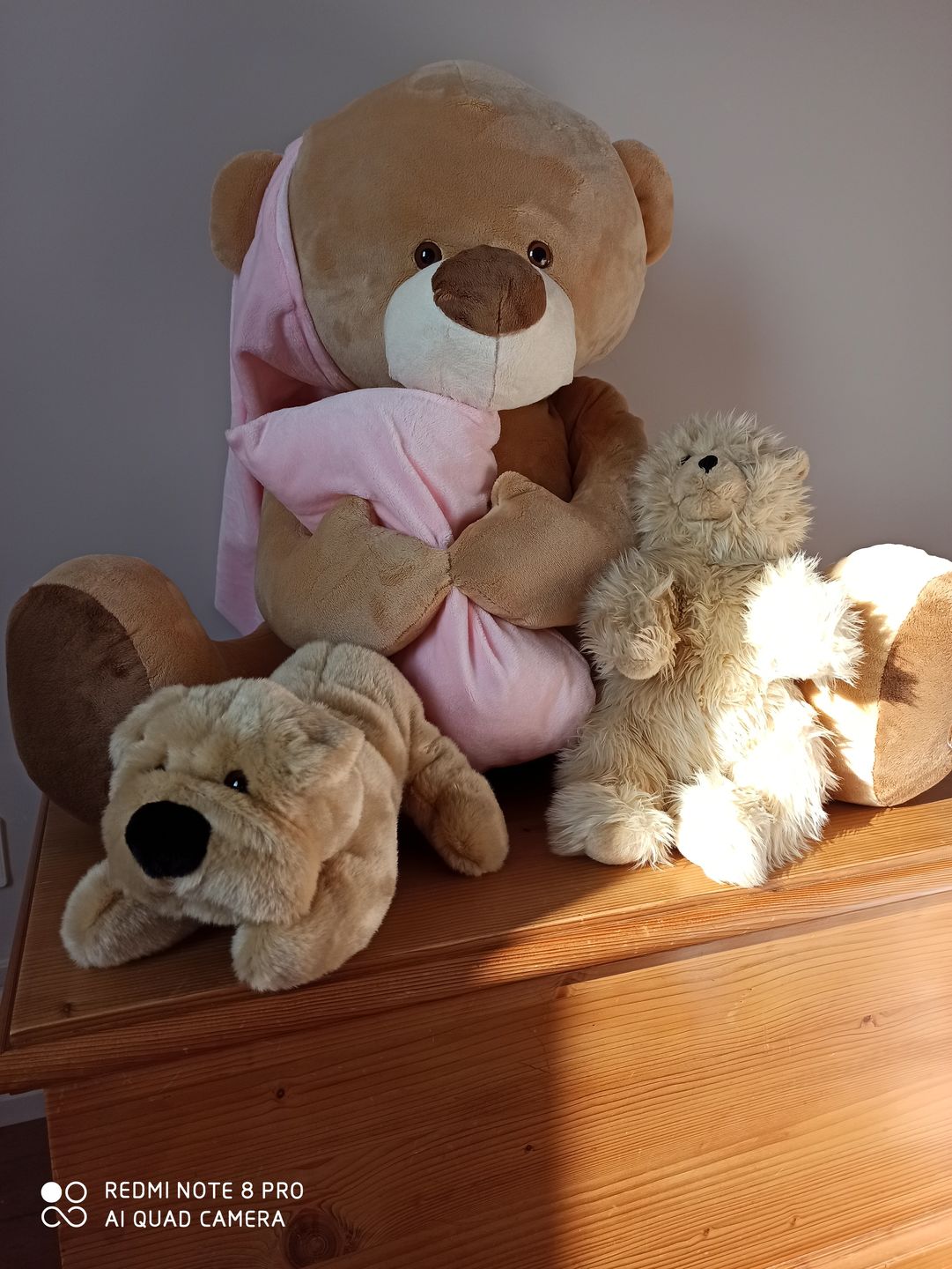 Customer photo review of Ma peluche Chien Hector