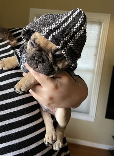 Customer photo review of Playa Poncho