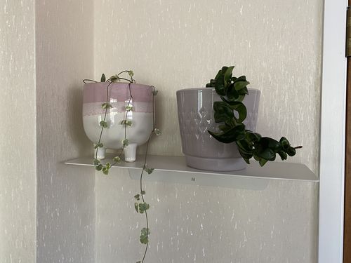 Customer photo review of FOLD Ledge 450