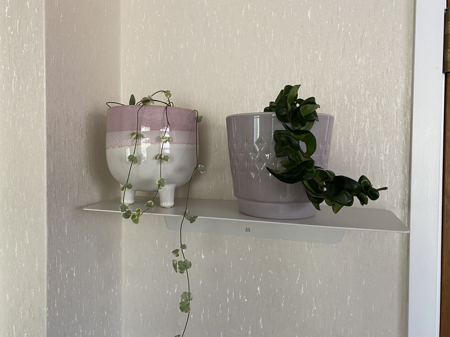 Customer photo review of FOLD Ledge 450