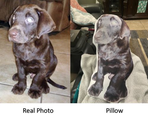 Customer photo review of Create A Custom Object Pillow