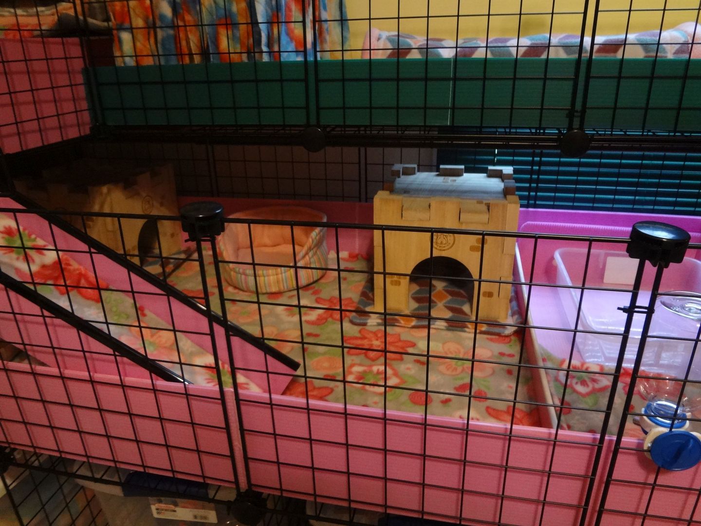 Customer photo review of GuineaDad Queen's Castle