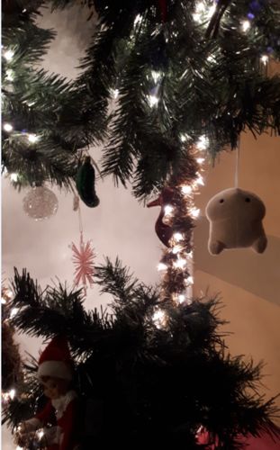 Customer photo review of PeePee Pillow