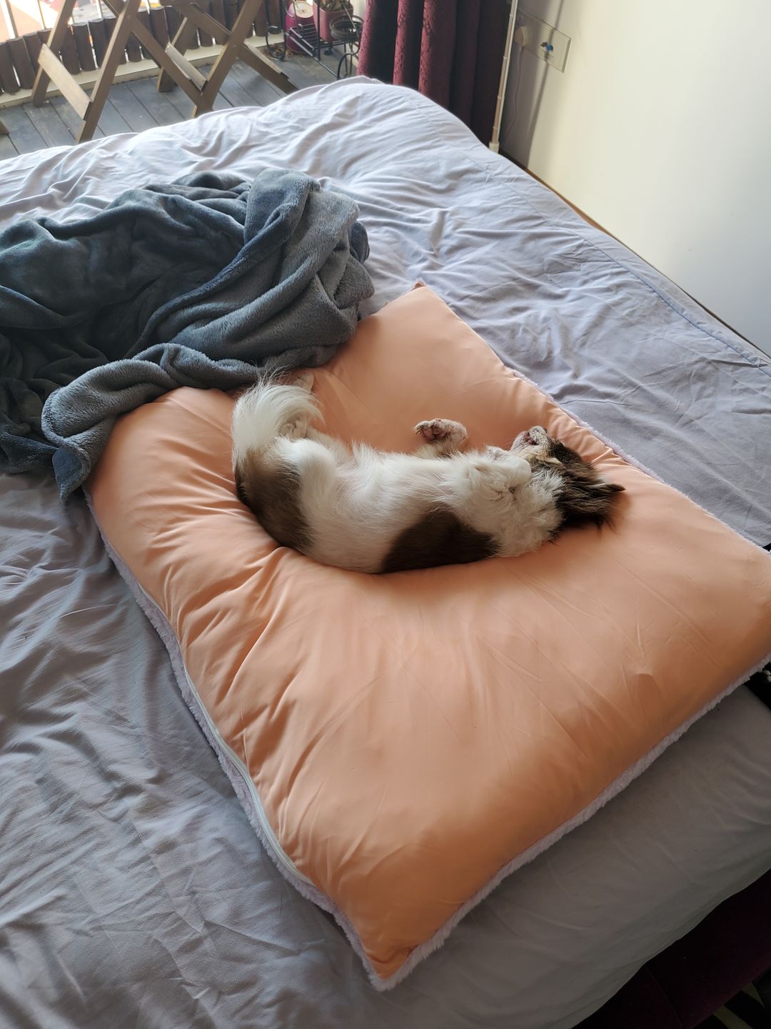 Customer photo review of arrr Sleeping Blanket (NEW)