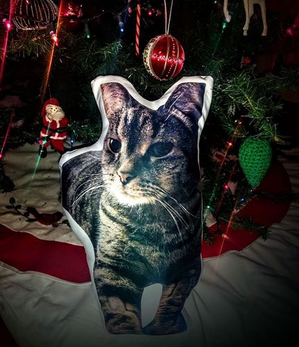 Customer photo review of Create A Custom Cat Pillow