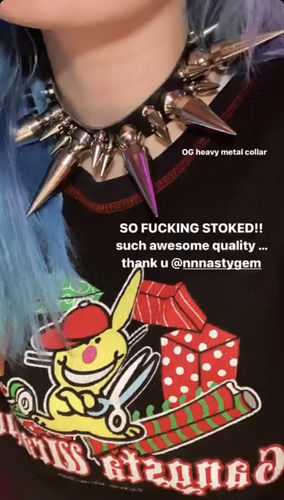 Customer photo review of Heavy Metal OG Collar