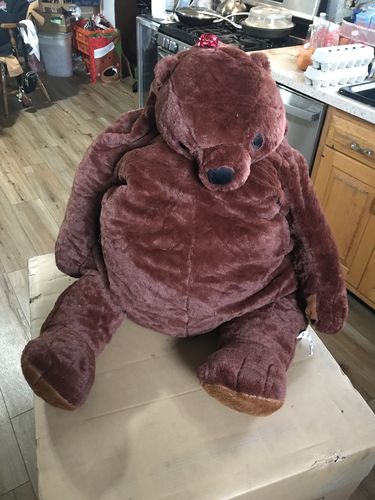 Customer photo review of SKOGGY BEAR