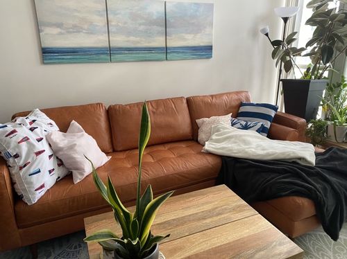 Customer photo review of Holland Right Sectional