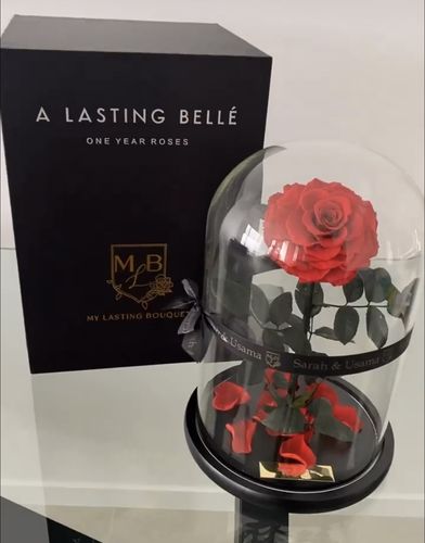 Customer photo review of Red Lasting Belle