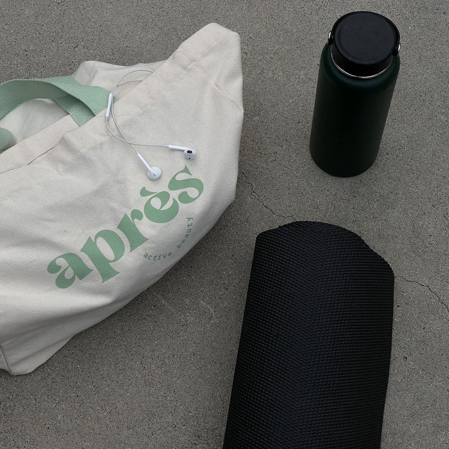 Customer photo review of aprés tote bag
