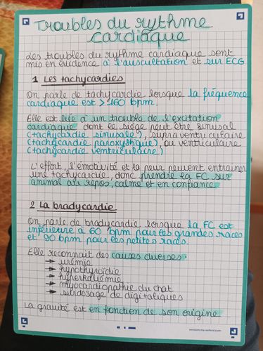 Avis photo d'un client sur Fiches de révision REVISION 2.0 OXFORD # 50 fiches 14,8 x 21 cm - petits carreaux