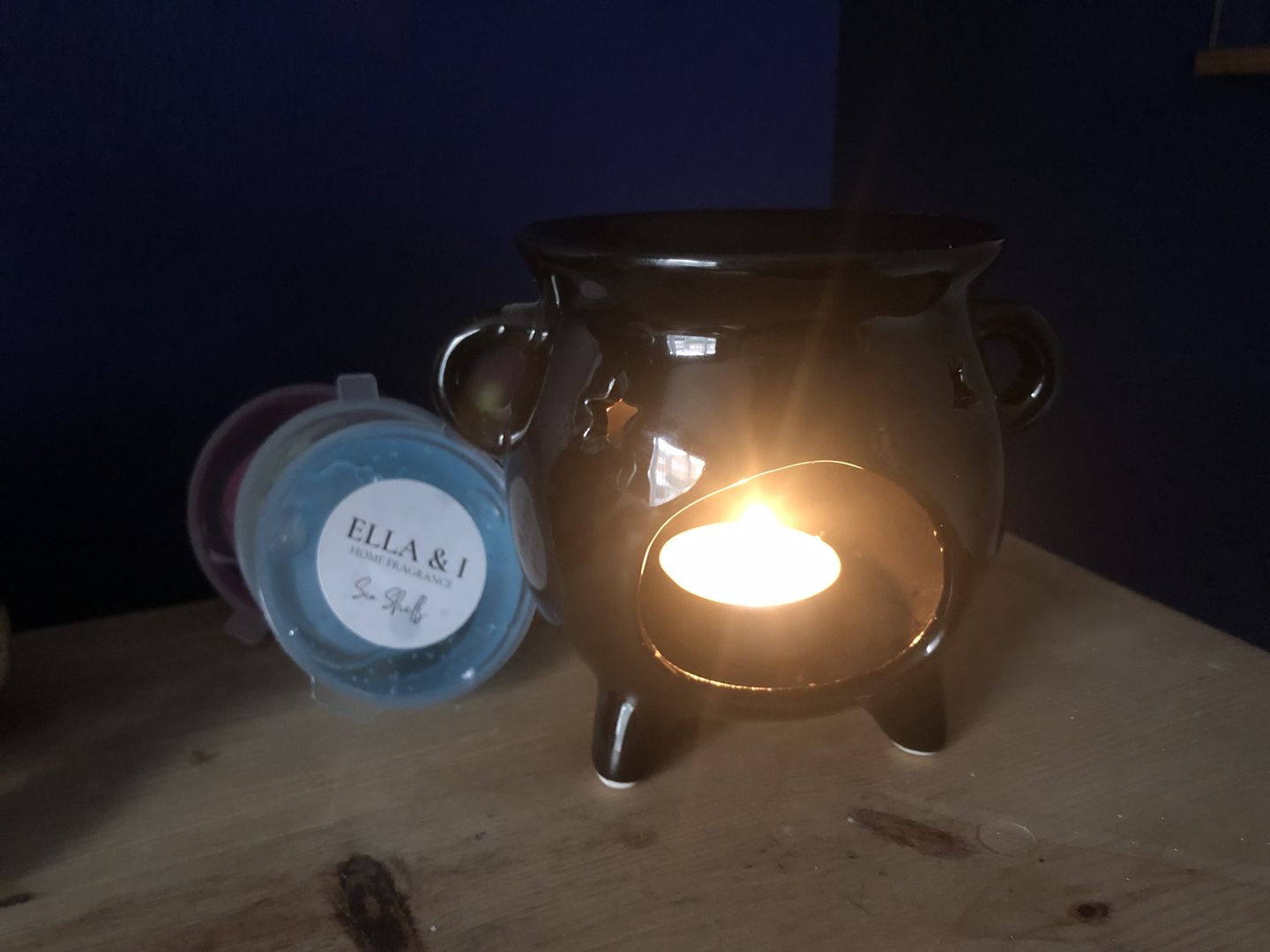 Customer photo review of Sea Shells