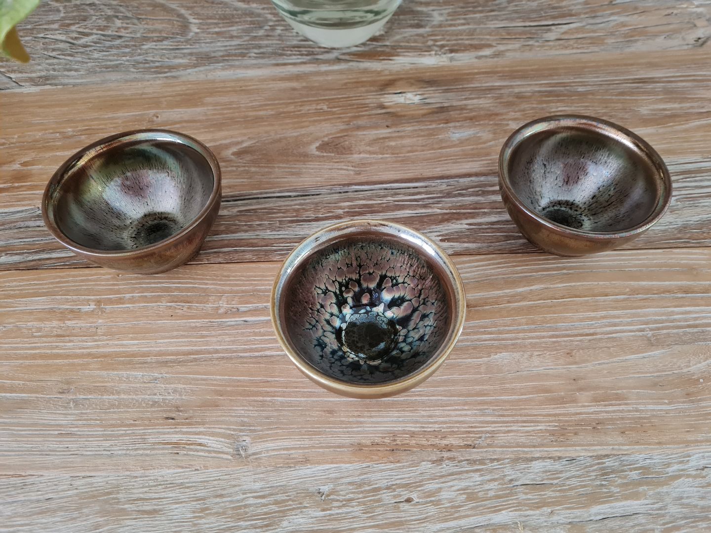 Customer photo review of Succulent